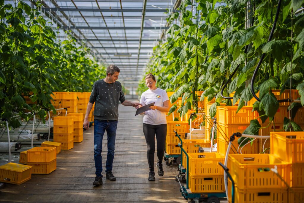 Werken bij Legemaat van Elst