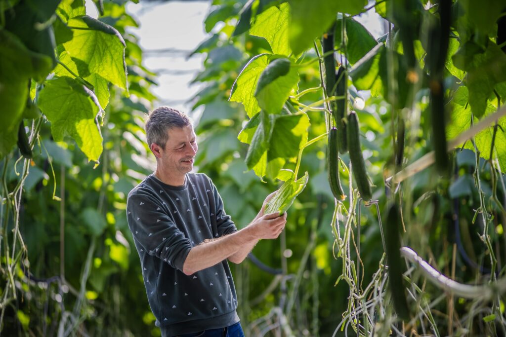 Werken bij Tuinderij Vahl